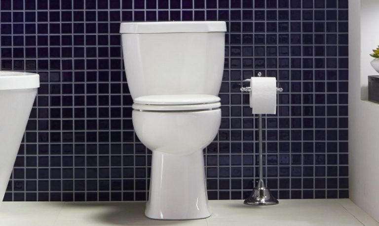 10 Best Low Flow Toilets In Detail Reviews Winter 2023