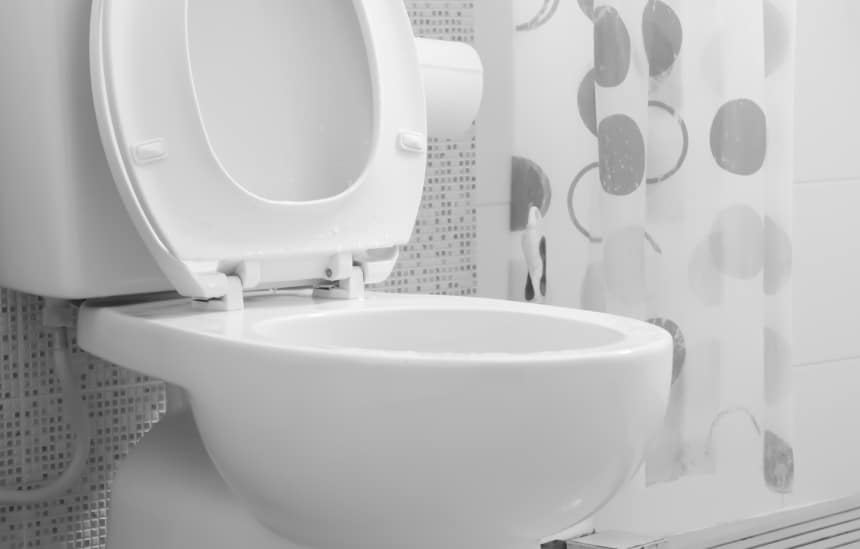 8 Best Dual Flush Toilets to Lower Your Water Bills (Fall 2023)