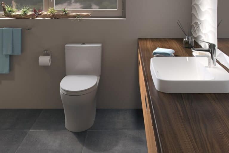 8 Best Dual Flush Toilets InDetail Reviews (Winter 2024)