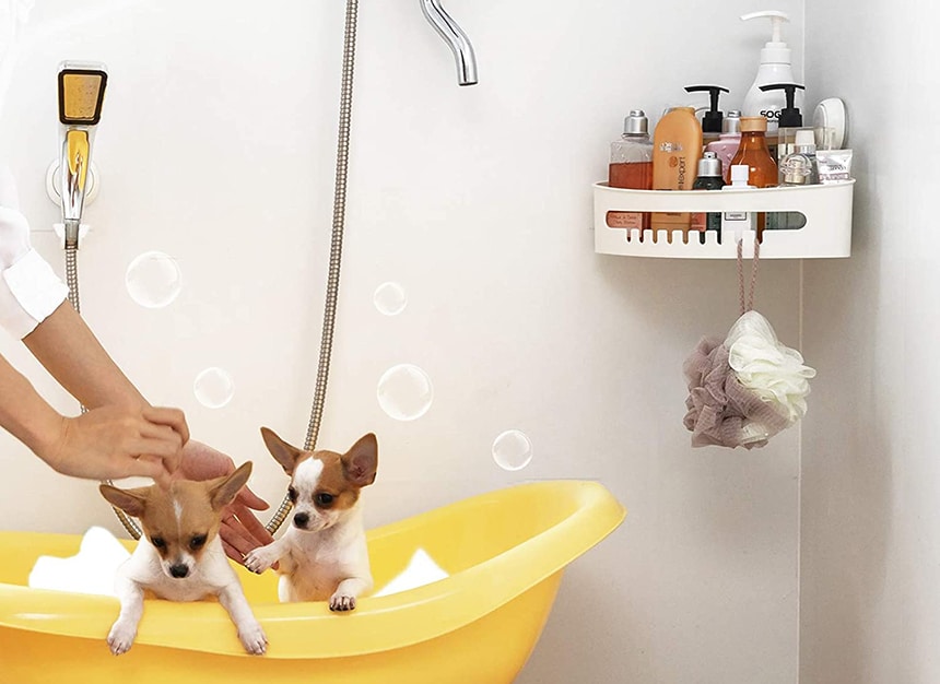 6 Best Corner Shower Caddies to Organize Your Bathroom (Summer 2022)