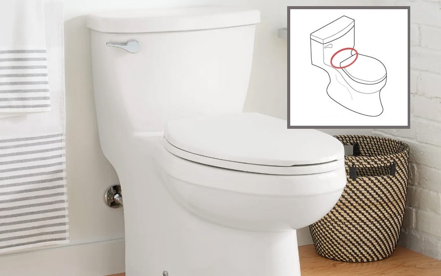 One-Piece vs Two-Piece Toilets: Which One Is Better?
