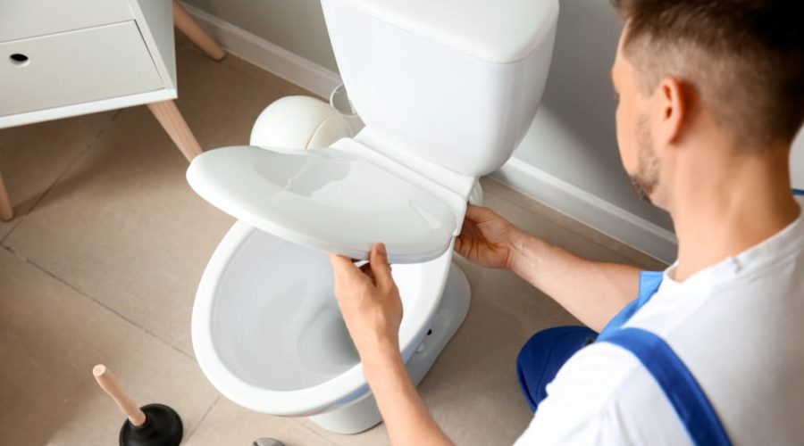 Round vs Elongated Toilet - Which Will Be Better for Your Bathroom?