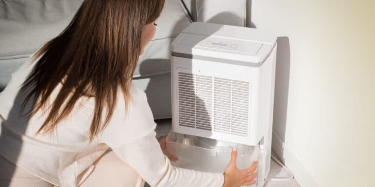 6 Best Dehumidifiers for Bathroom Reviewed (Summer 2025)