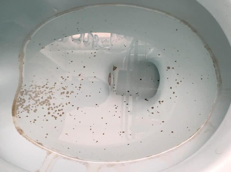 4 Methods to Get Rid from Mold in Toilet