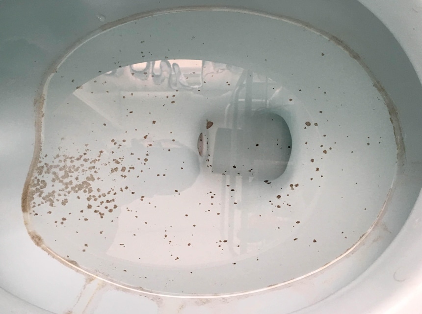 Mold in Toilet - How to Get Rid of It for Good