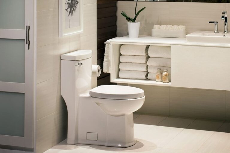 Best American Standard Toilets3 768x510 